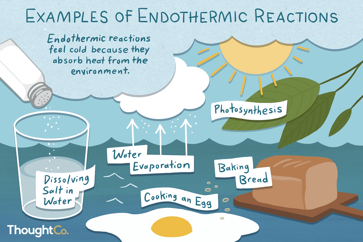 What Is Exothermic And Endothermic Reaction Example