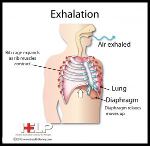 beings exhalation process
