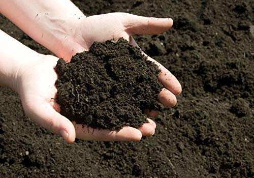 3 Features Of Black Soil Class 10