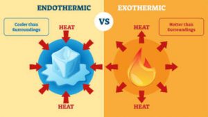 What does one mean by exothermic and endothermic reactions? Give ...