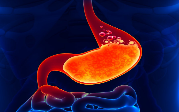 What Is The Role Of The Acid In Our Stomach Class 10th