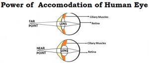 what is the power of accommodation of human eye class 10