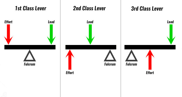 Types Of Lever Class 5 Cbse Class Notes Online Classnotes123