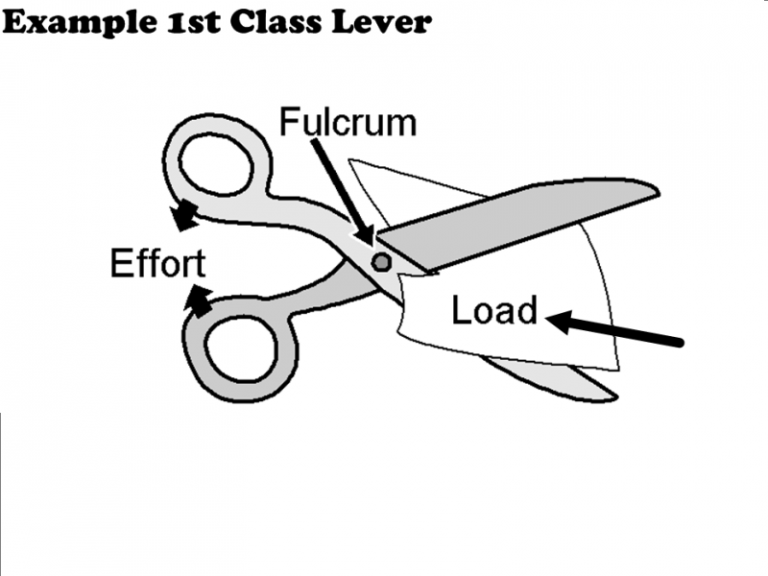 Types of Lever Class 5 CBSE Class Notes Online Classnotes123