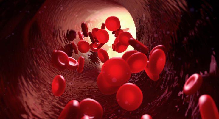 10 Important Functions of Blood