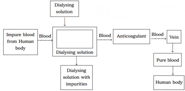 dialysis-diagram-class-10-cbse-class-notes-online-classnotes123