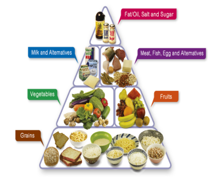 Food And Its Components Class 6