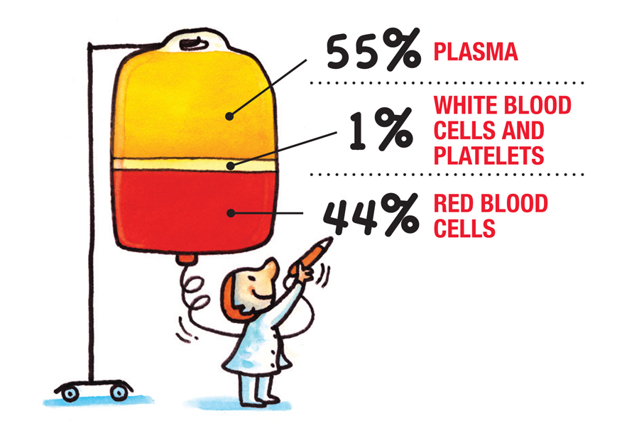 What Are The Components Of Blood Class 9 CBSE Class Notes Online 