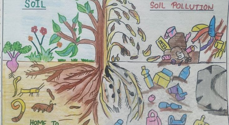 essay on soil contamination