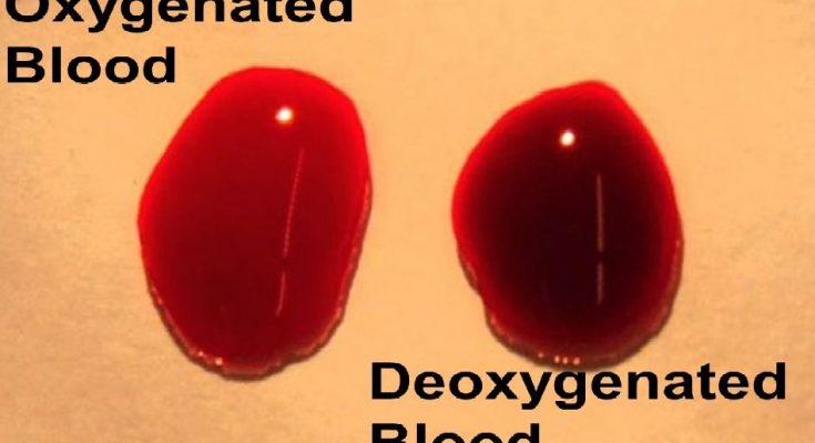 Why is it necessary to separate Oxygenated and Deoxygenated Blood