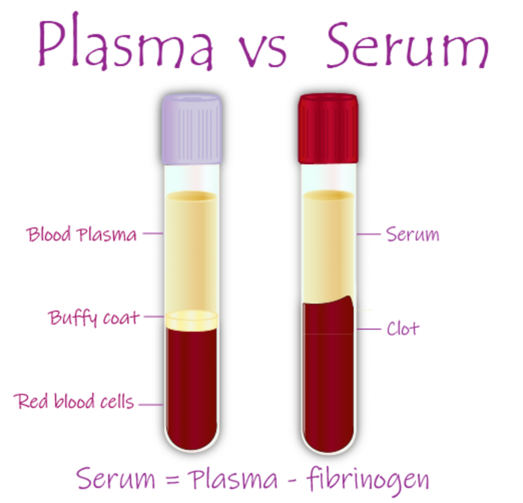 Differences Between Plasma and Serum Explained