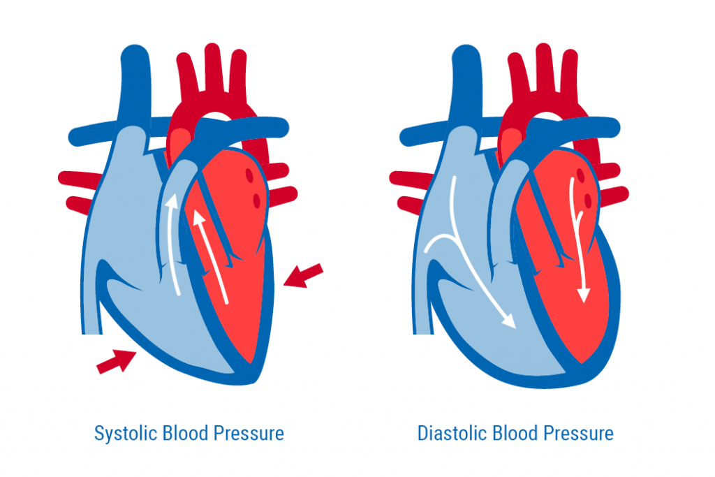 Systolic and Diastolic Blood Pressure