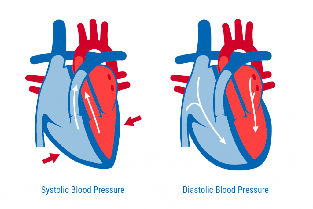 What Is Diastolic Blood Pressure Simple Definition