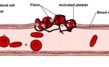 blood coagulation - blood clotting