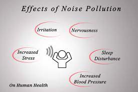Essay Noise Pollution