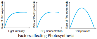 factors affecting Photosynthesis