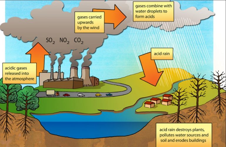 Acid Rain - Class 7 -Chapter 5-Acids, Bases and Salts - CBSE Class ...