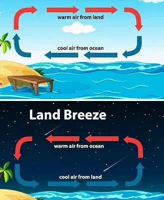 Sea Breezes and Land Breezes - Class 7 Science
