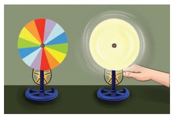 Class 7 Science -Chapter 15- Light- Activity-  Creating a Newton's Disc