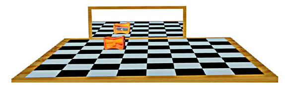 Class 7 Science -Chapter 15- Light- Activity- Measuring Distance with a Chessboard and Mirror