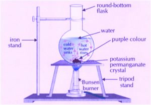 Class 7- Chapter 3 - Heat - Convection In Water (activity 3.8) - Cbse 