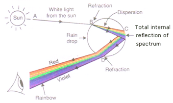 What is Light?