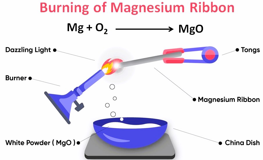 Class 10 Science Chapter 1 Chemical Reactions And Equations Activity Class 10 Science Chapter 1 Chemical Reactions And Equations Activity
