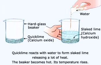 Class  10 Science- Chapter 1- Chemical Reactions and Equations- Formation of Slaked Lime