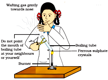 Class  10 Science- Chapter 1- Chemical Reactions and Equations- Heating Ferrous Sulphate Crystals