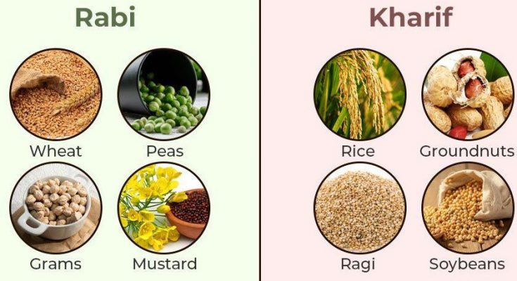 Difference between Rabi and Kharif crops